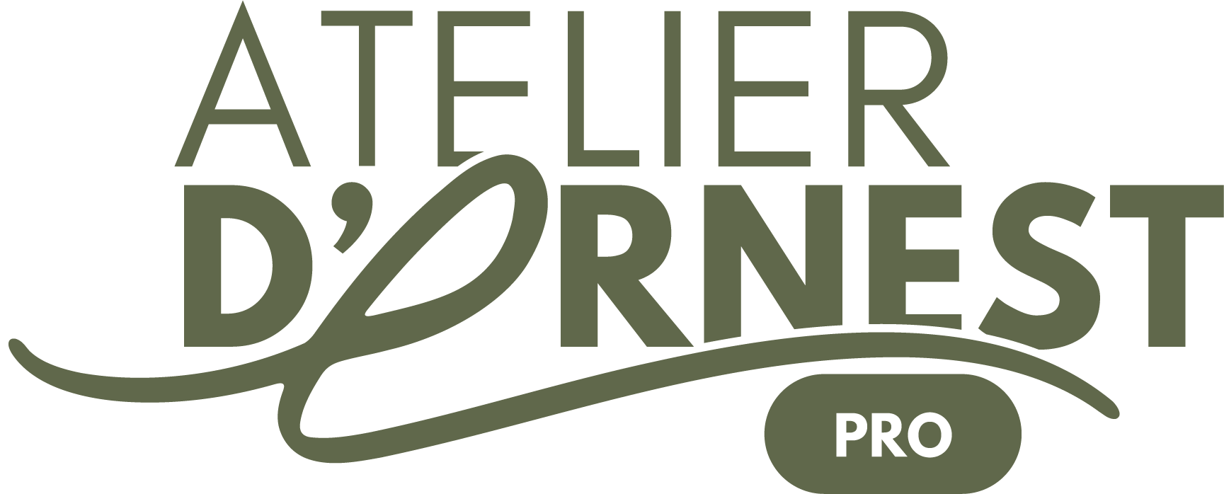 Atelierd'Ernest logo