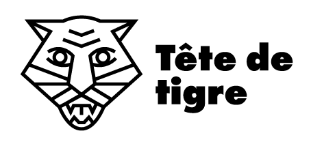 logo_tdt_